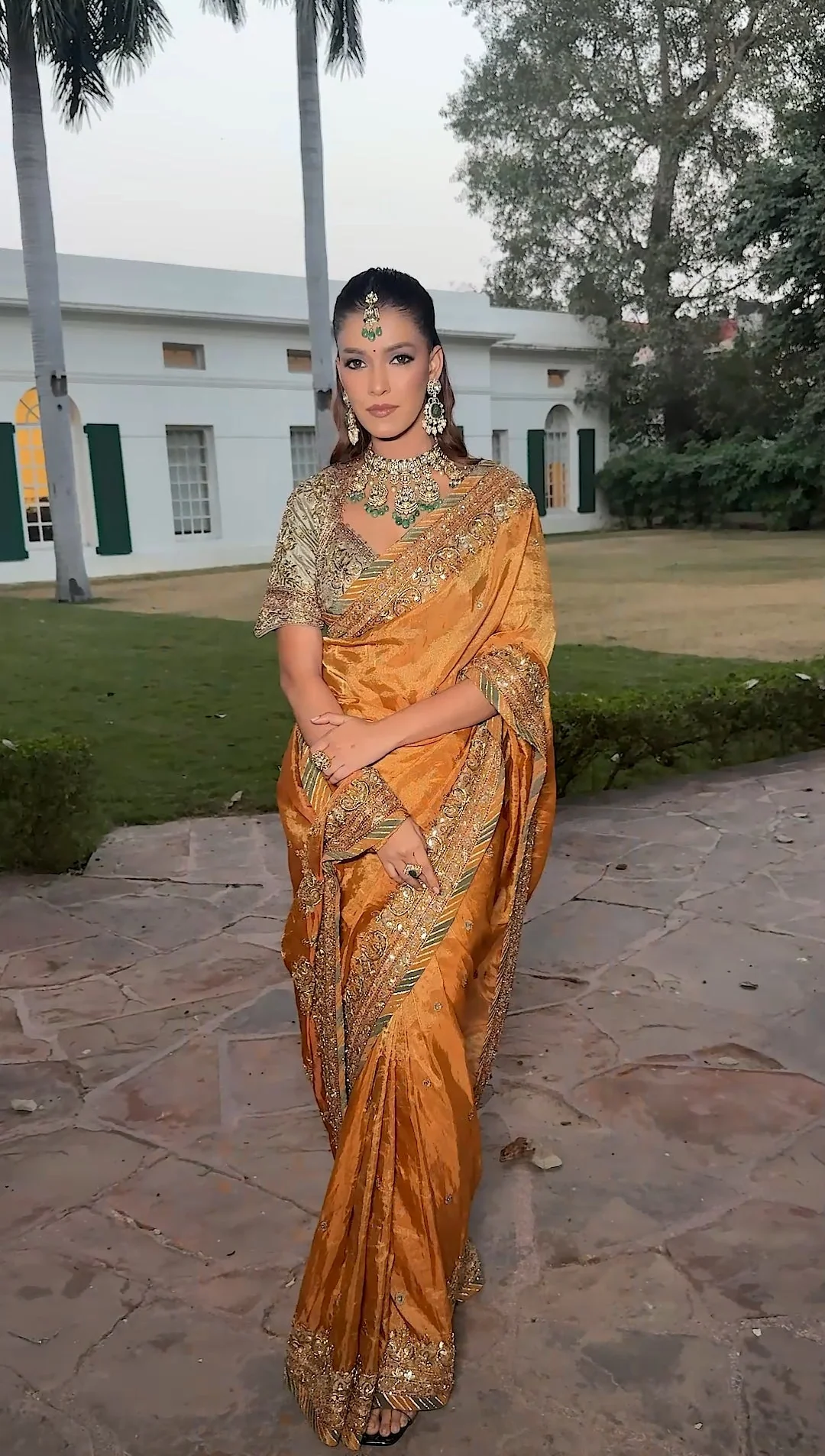 Amber Royalty Saree (25034 D-56) - Image 3