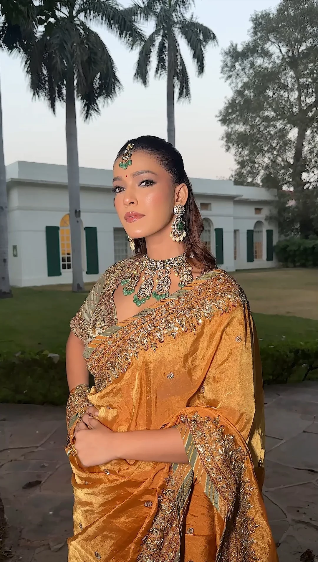 Amber Royalty Saree (25034 D-56) - Image 6